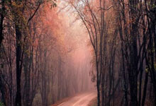 南宫28官网:林书豪晒合照感谢姚明:他为亚洲球员闯出一条路九派新闻.