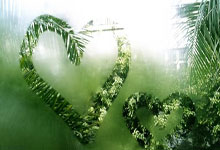 中国引领亚洲逐梦冰雪世界中国青年报客户端.